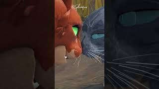 Part 2 Of Recreating Scenes From Warrior Cat's! Comment scenes I should do! #warriorcats #wcue #film