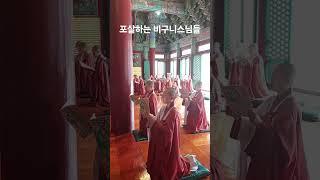 포살하는 비구니스님들, 운문사 하안거 포살 (2025.6.19) 영상 최용수 객원기자 #운문사 #비구니