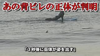 【日本国内】サムネの３秒後に姿を現す巨大生物！！