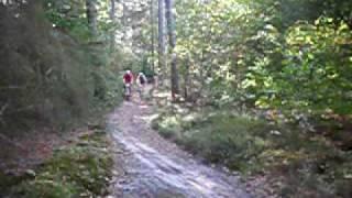 OWMTBC 2009 Holandia - Wyścig XC