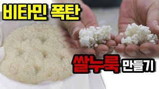 Natural lactobacillus. Making rice yeast-making natural lactobacillus