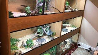 REPTILE ROOM TOUR- OCTOBER 2018