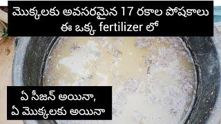 NPK liquid fertilizer for any plats | organic fertilizer for plants