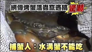 網傳烤蟹活蟲竄逃搞驚嚇　捕蟹人：水溝蟹不能吃  | 實用文 | 台灣蘋果日報