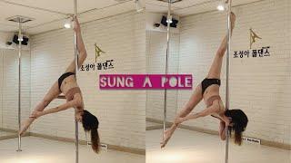 #dailypole #조성아폴댄스 #poledancing