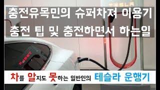 [차알못 테슬라] 충전유목민의 슈퍼차져 사용기! 충전하는동안 뭘하죠?