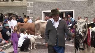 Bauernumzug 2010 in Toblach