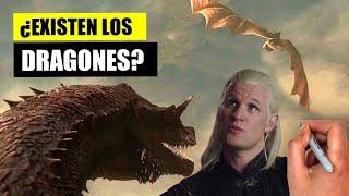  Lo que NO TE HAN CONTADO sobre los  DRAGONES de LA CASA DEL DRAGÓN? | ¿Podrían EXISTIR? 