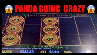  PANDA GOING CRAZY panda magic dragon link slot machine  Pokie wins