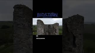 3D Laser Scan Survey on the remains of a castle for historic preservation purposes. #laserscan