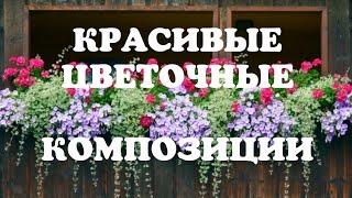 Шикарные цветочные композиции для кашпо и балконных ящиков// Как красиво комбинировать цветы