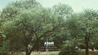 이기는 것보다 중요한 건, 지지 않는 것 ASMR