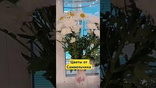 #грандениковлог #гранденико #saveliyad #савелийад #tiktokvideo #самвеладямян #тикток#сытники #сытник