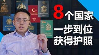 卖护照的8个国家，如何选择投资入籍国家？哪些是，最便宜的护照？最鸡肋的护照？最有风险的护照？最均衡的护照？