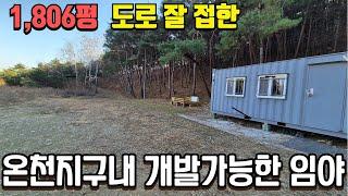 경산 5m 도로 잘 접하고 개발가능한 1,806 임야 급매 636