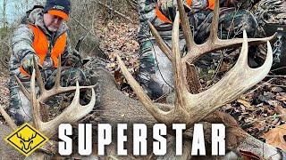 SUPERSTAR | 6.5yr. old Post-Rut GIANT (RATTLED IN)