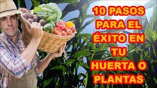 10 ACCIONES DE AGRICULTURA ORGÁNICAS QUE MEJORARÁN SUSTANCIALMENTE TU HUERTA 