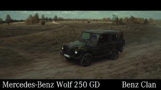 Mercedes-Benz Wolf 250 GD - Czech Republic Army