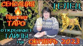 ТЕЛЕЦ: Сенсационный ПРОГНОЗ ТАРО от Мастера Нирбхи открывает тайны на  ОКТЯБРЬ с ТОЧНОСТЬЮ 1000%!!!