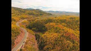 Colorado Fall Colors with Rob Reinmuth