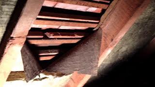 Handyman Repairing Rotten Roofing felt DIY  tips