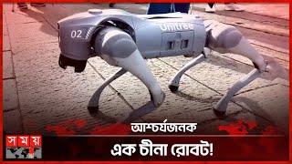 পাহাড় বেয়ে উঠে গেল রোবট কুকুর! | Chinese Dog Robot | Taian | China News | Somoy Technology