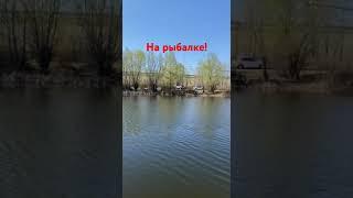 #рыбалка подписывайтесь на канал, здесь много интересных видео про рыбалку и многое другое.