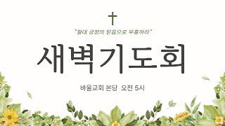 [바울교회] 화요일 새벽기도회 (25.06.24)