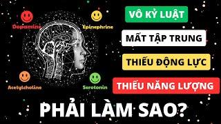 Huấn luyện Bộ não tăng Năng lượng, Tập trung, Tỉnh táo, Kỷ luật, Động lực & Sự Hài lòng ngay lập tức