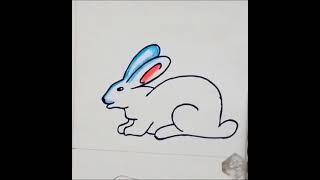 How to draw a rabbit for beginners ll rabbit  Drawing colour....ll cute rabbit Drawing step by step