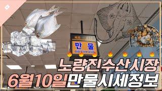 6월 10일 노량진수산시장 만물 (패류031) 시세정보 입니다. 35년 경력으로 믿고 찾아주세요