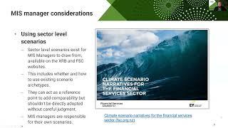 The why, what, and how of entity level scenario analysis for MIS managers