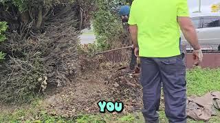 Trimming TREES and putting STONES in the GARDEN