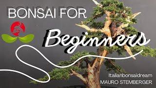 Bonsai for Beginners