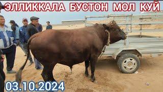 3 октября 2024 ЭЛЛИККАЛА БУСТОН МОЛ КУЙ БОЗОР НАРХИ