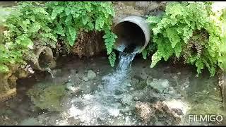Baths of Aphrodite in Latchi Cyprus beautiful and lovely and wonderful nature and places...
