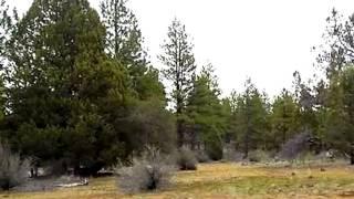 Homes for Sale - LOT 21 ARROWHEAD LANE - SPRAGUE RIVER, OR 97639 - Sheree Mauro