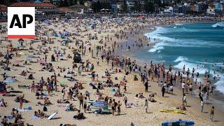 Thousands pack beaches across Sydney to celebrate Christmas in the sun