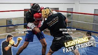 WOW! Lightning Fast Amateur Boxer FIRES BACK in Sparring!