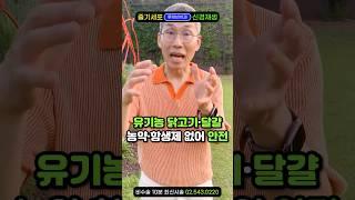 "한여름 '보약' 한그릇 드세요" 복날 삼계탕 닭백숙은 이열치열 음식, 치킨은?"고단백 보양식,누룽지백숙 닭구이는 초복 중복 말복에 무조건 추천. 소화불량에 좋고,기운없을때 건강식