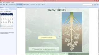 Организация учебной деятельности в «1С:Образование 5. Школа»