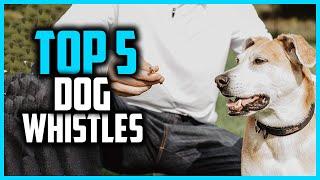 Top 5 Best Dog Whistles Reviews 2024