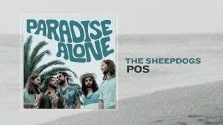 The Sheepdogs - POS (Visualizer)