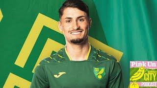 #540 Buzzing for Barnet as Sainz Signs | PinkUn Norwich City Podcast