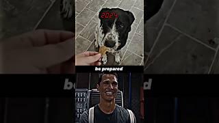 Dog Sad Moments (MISSING) ️‍🩹