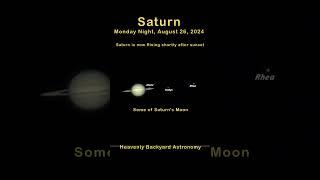 Saturn Live View Short #tbaic #astrophotography #backyardastronomy