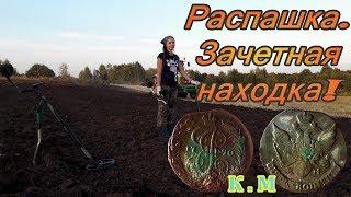 Коп монет / Зачетная находка #кладоискатель #раскопки #копатели