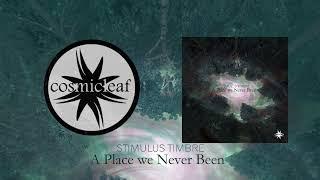 Stimulus Timbre - A Place We Never Been - 03 Everything in Between