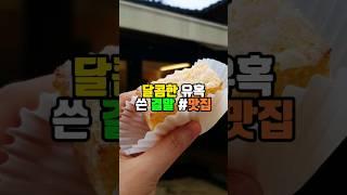 경주 황리단길 간식 추천 특별한 카스테라 테라도스 맛집