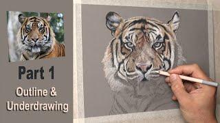 Pastel Painting Tips ~ Tiger. Part 1 Outline & Underdrawing. Narrated Tutorial  using pastel pencils